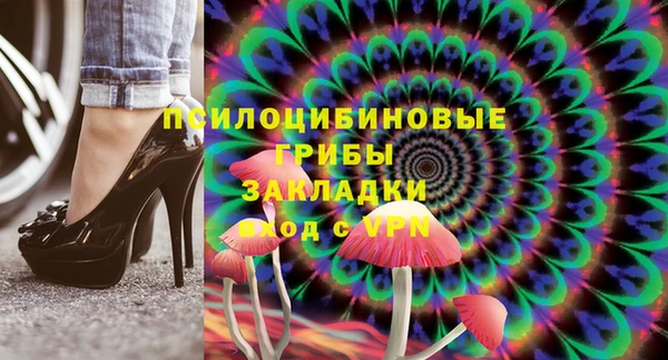 скорость Щучье