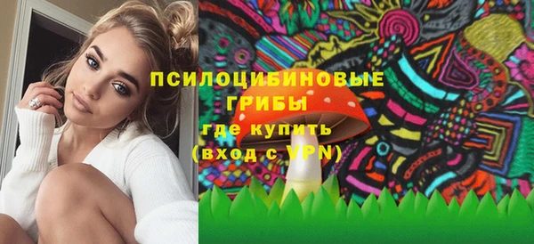 бошки Каменск-Шахтинский