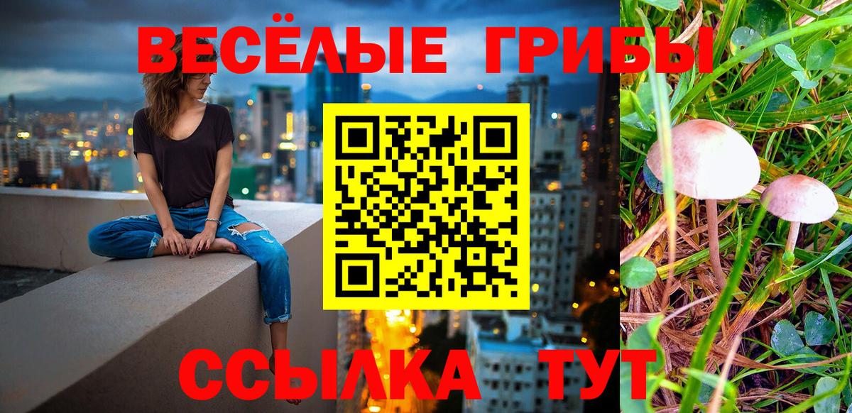 Галлюциногенные грибы мухоморы  Вход с VPN  Галлюциногенные грибы мухоморы  Димитровград 