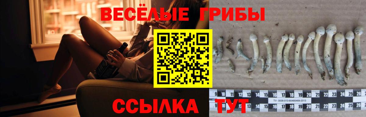 Псилоцибиновые грибы Cubensis  Галлюциногенные грибы Magic Shrooms  наркота  Димитровград 