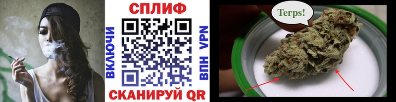 Бошки марихуана марихуана  как найти   Димитровград 
