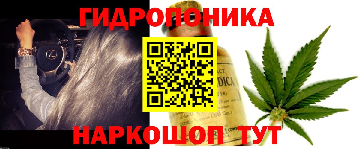 Конопля OG Kush Димитровград